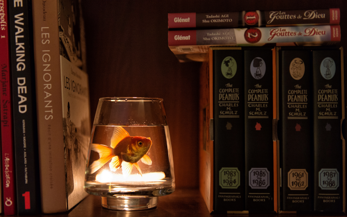 стакан, шкаф, вода, рыбка, книги