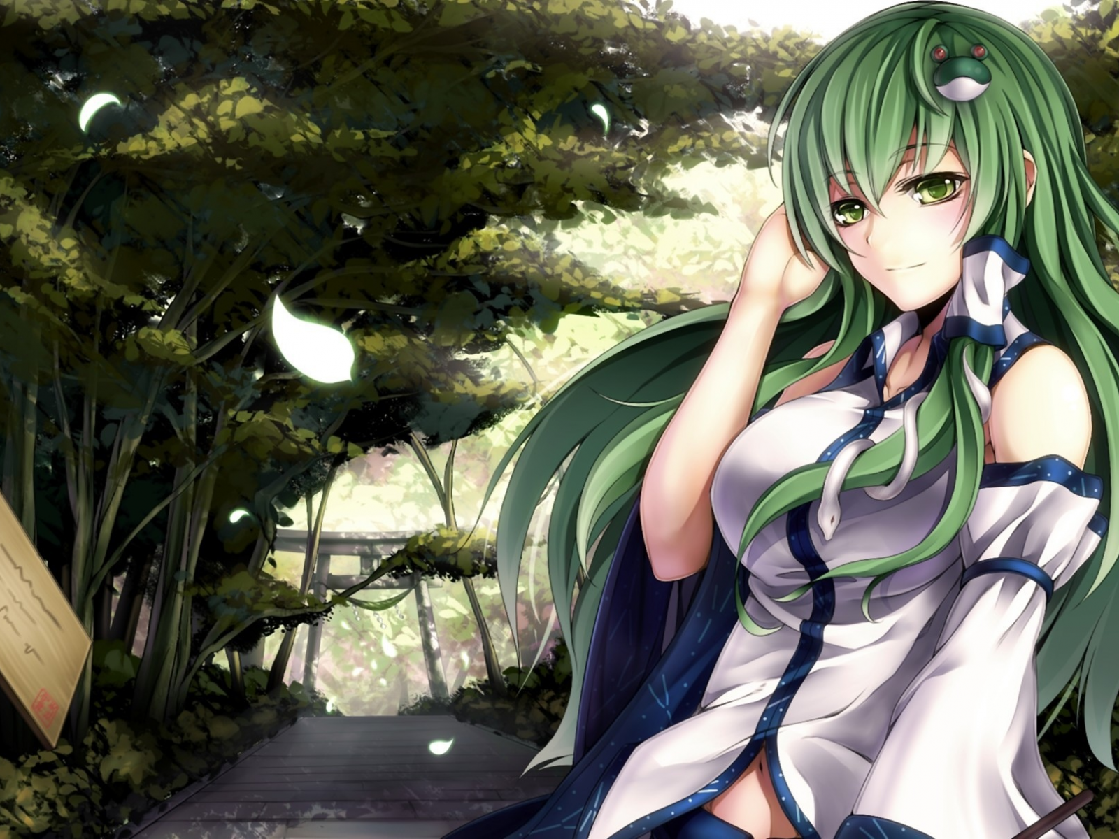 izayoi-saki, девушка, арт, ветер, touhou, kochiya sanae, зеленые волосы