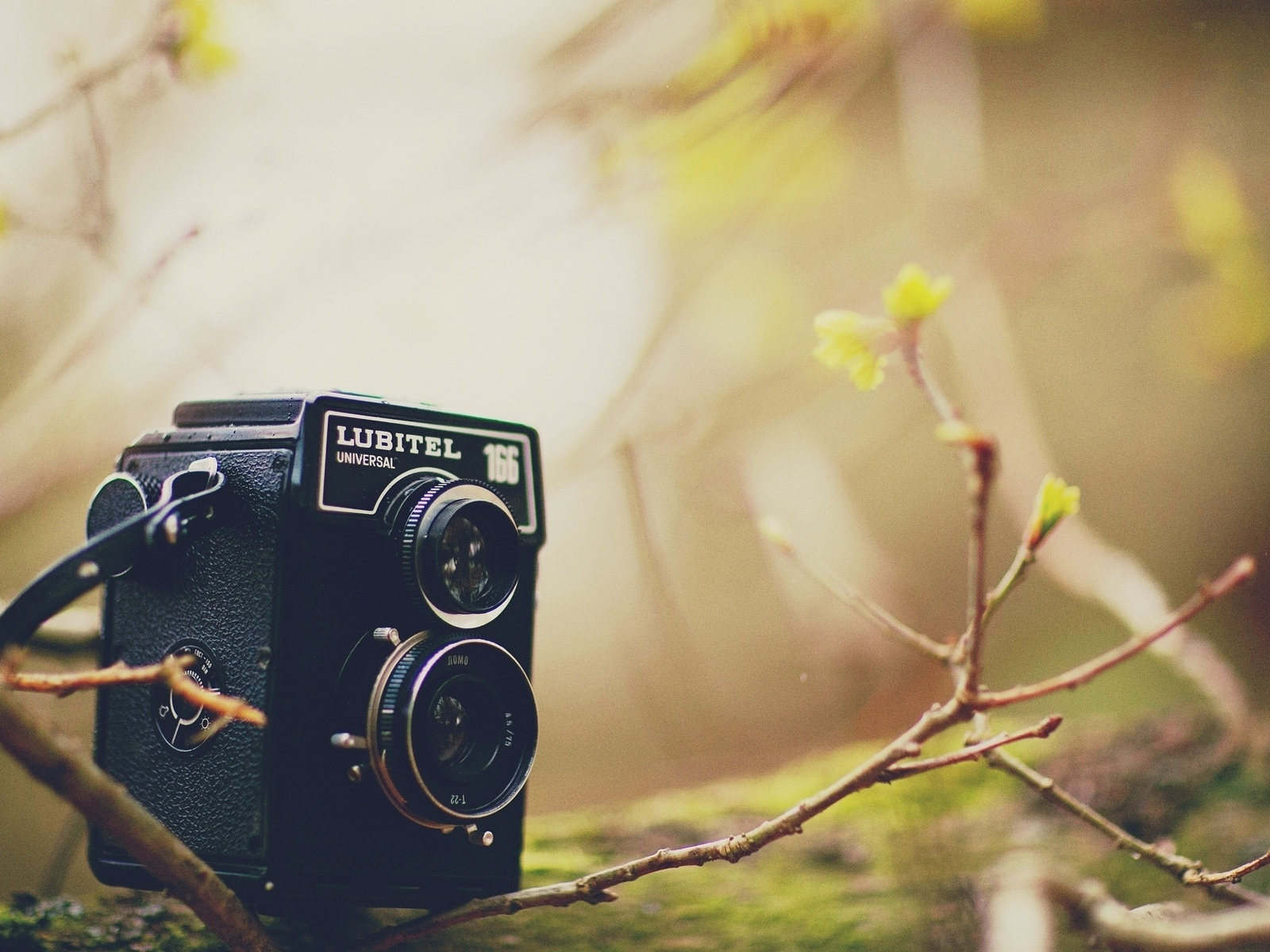 самера, листья, camera, разное, lubitel, дерево, фотоаппарат