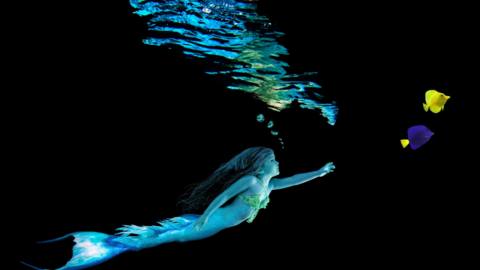 mermaid, water, yellow, blue, little girl, fish