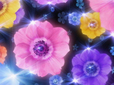 цветы, фиолетовый, рисунок