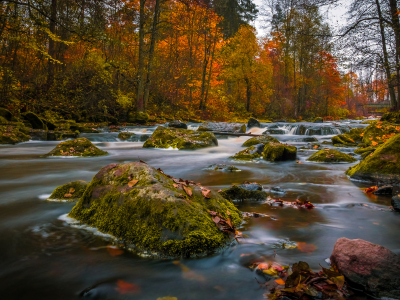 камни, реки, леса, осень
