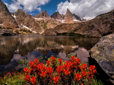 природа, горы, озеро, цветы