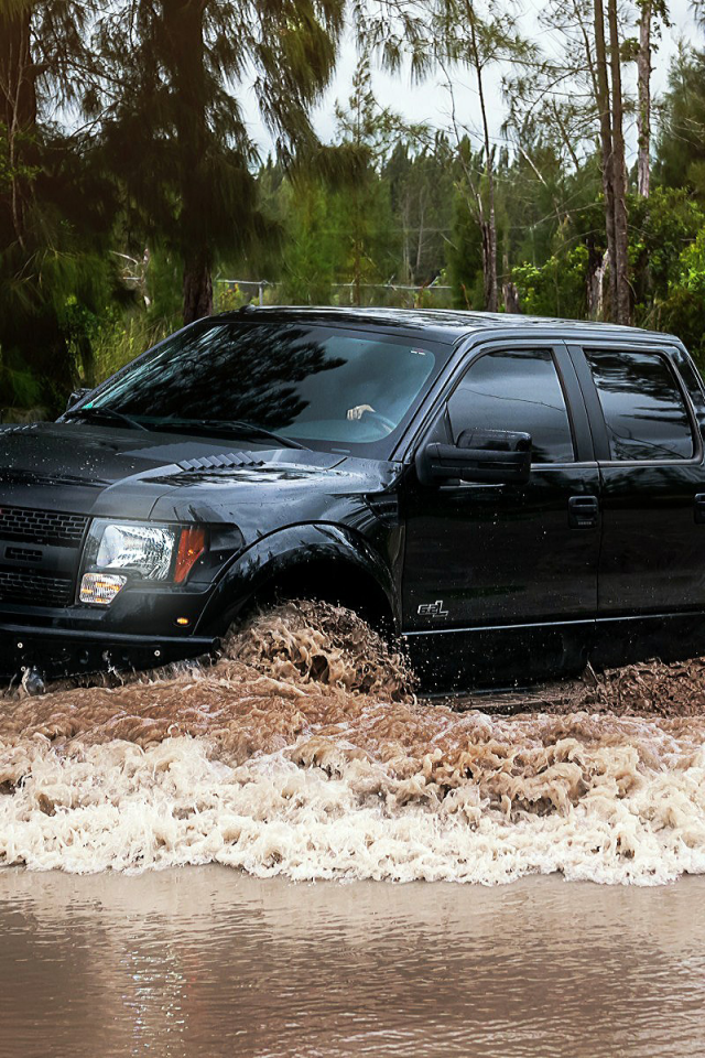 Бездорожье, тропики, авто, пикап, внедорожник, Ford