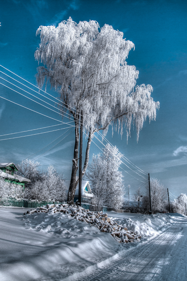 россия, пейзажи, зима