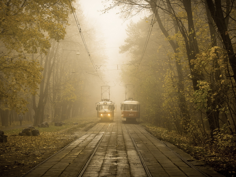 Утро, осень, туман, трамваи.