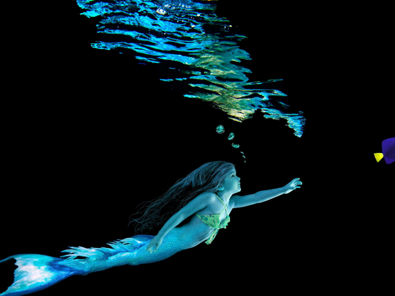 mermaid, water, yellow, blue, little girl, fish