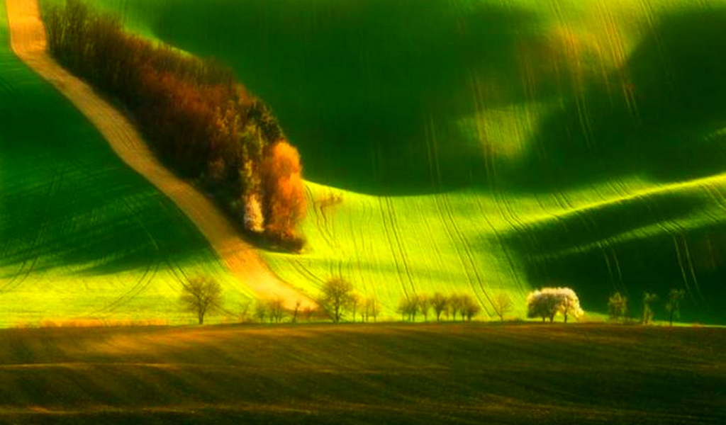 Зелёные ландшафты Моравии, поля, дорога