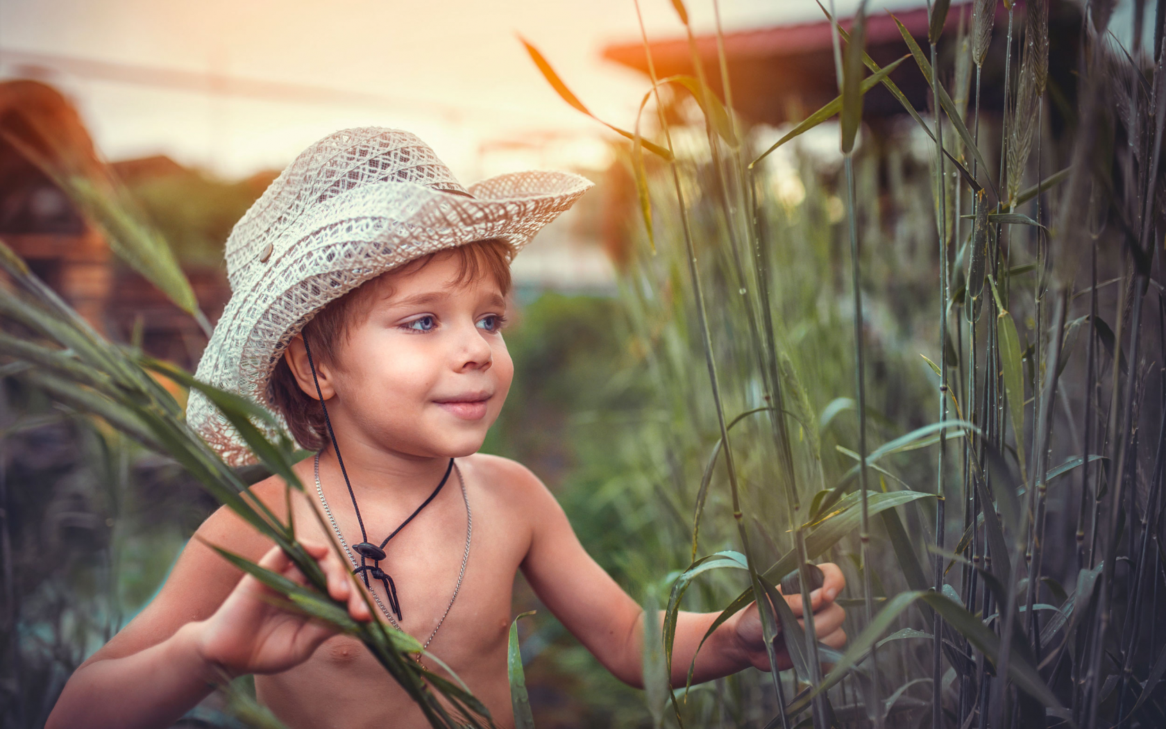 мальчик, шляпа, камыш, трава, любопытство