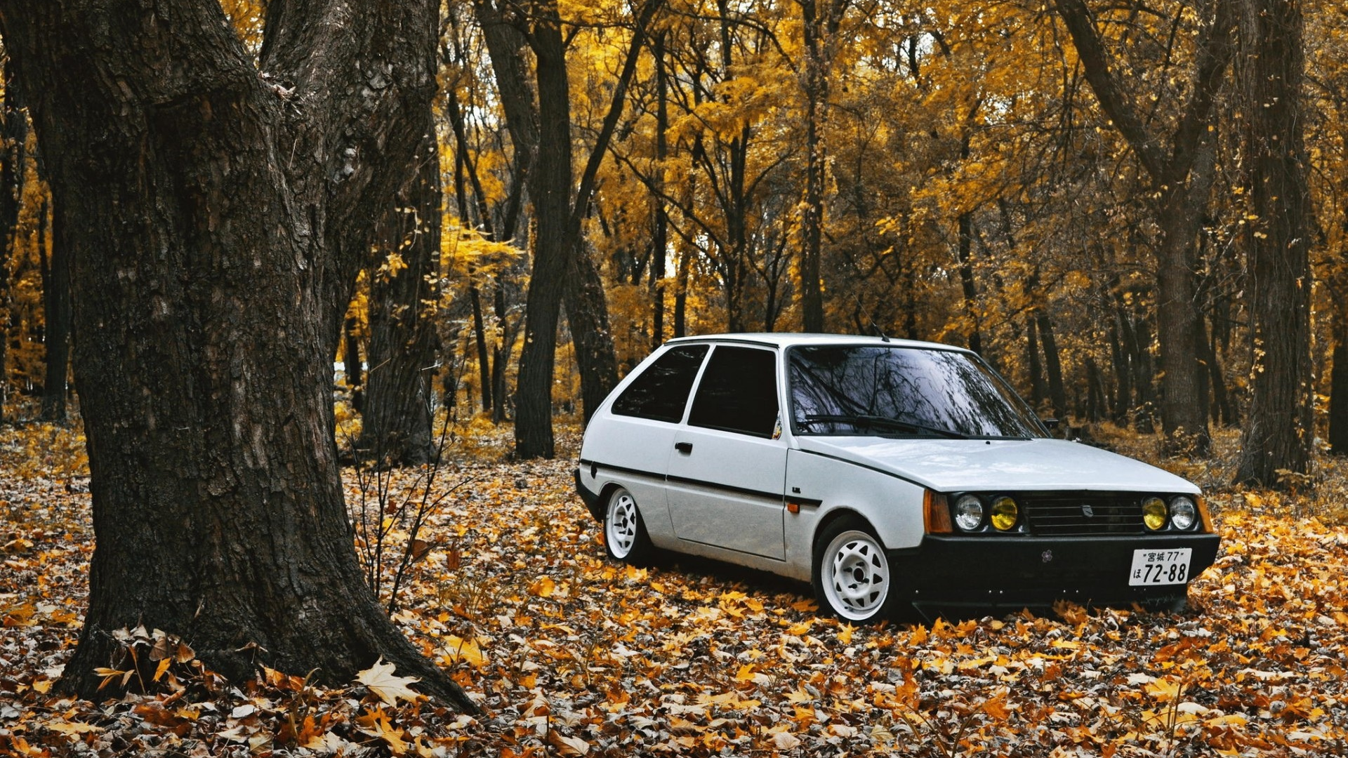 Осень, листья, авто, Таврия, ЗАЗ1102