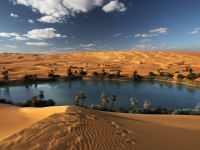 Оазис, пустыня, Сахара.