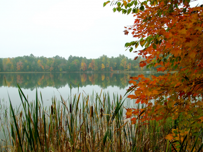 Озеро, Осень, Трава, Природа