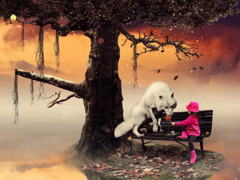 Обрыв, дерево, лавочка, девочка, конфета, волк, собака.