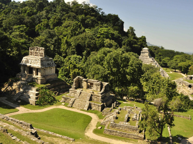 древние цивилизации, паленке, город майя, мексика