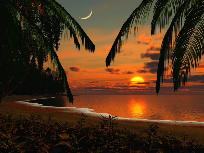 луна, море, пляж, пальмы