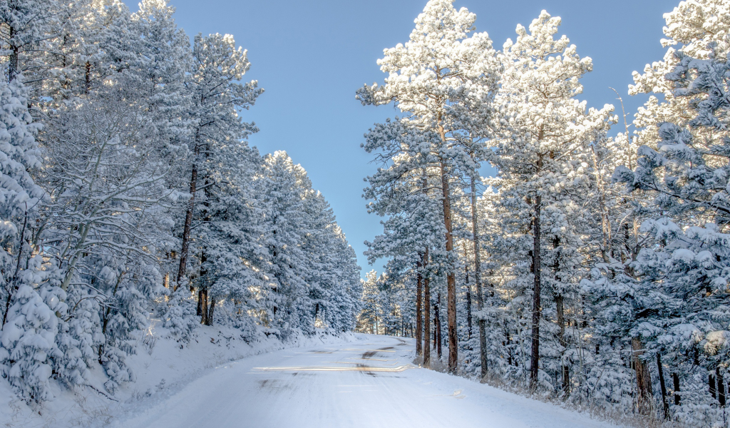дорога, природа, снег, деревья, colorado, зима, свет