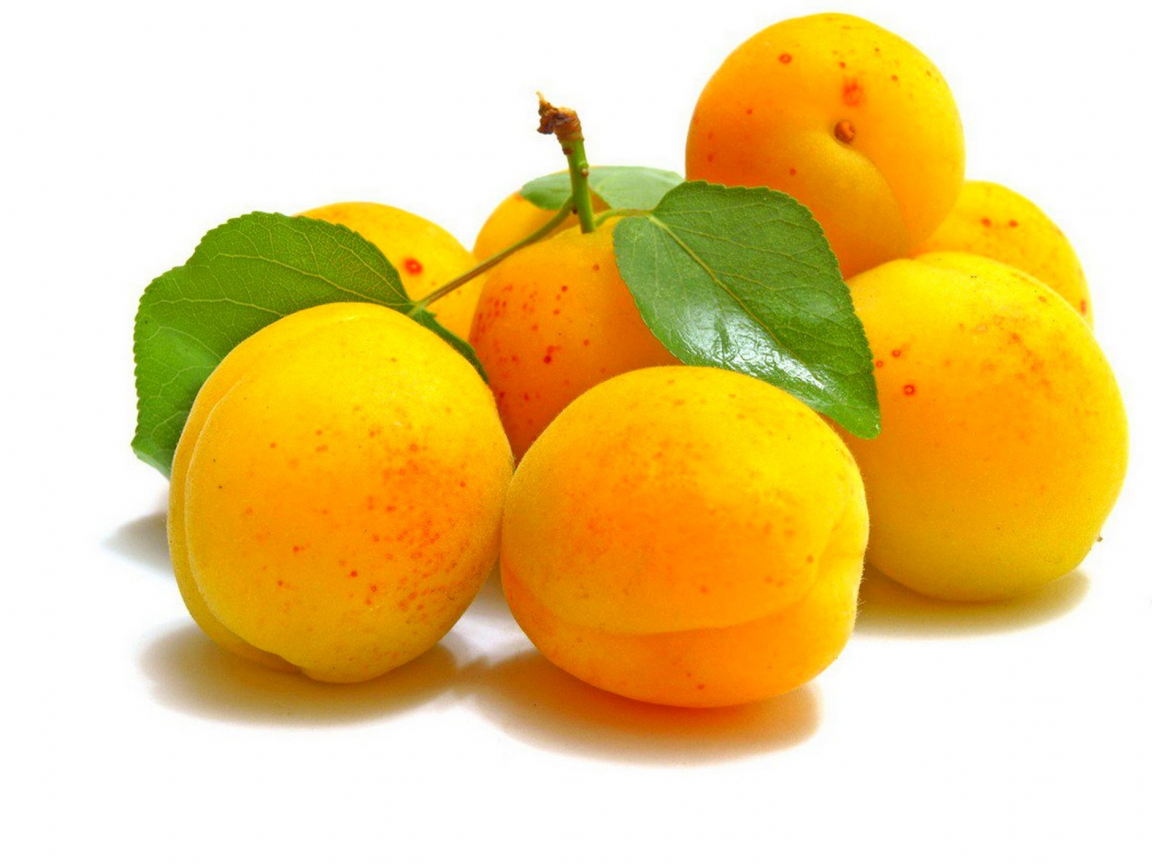 абрикос, фрукты
