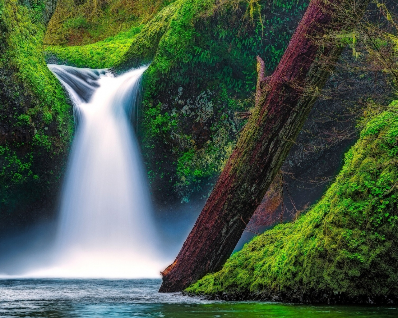 Punch Bowl Falls, Eagle Creek, Columbia River Gorge, Oregon, водопад Панчбоул, ущелье реки Колумбия, Орегон, водопад, река, мох, бревно