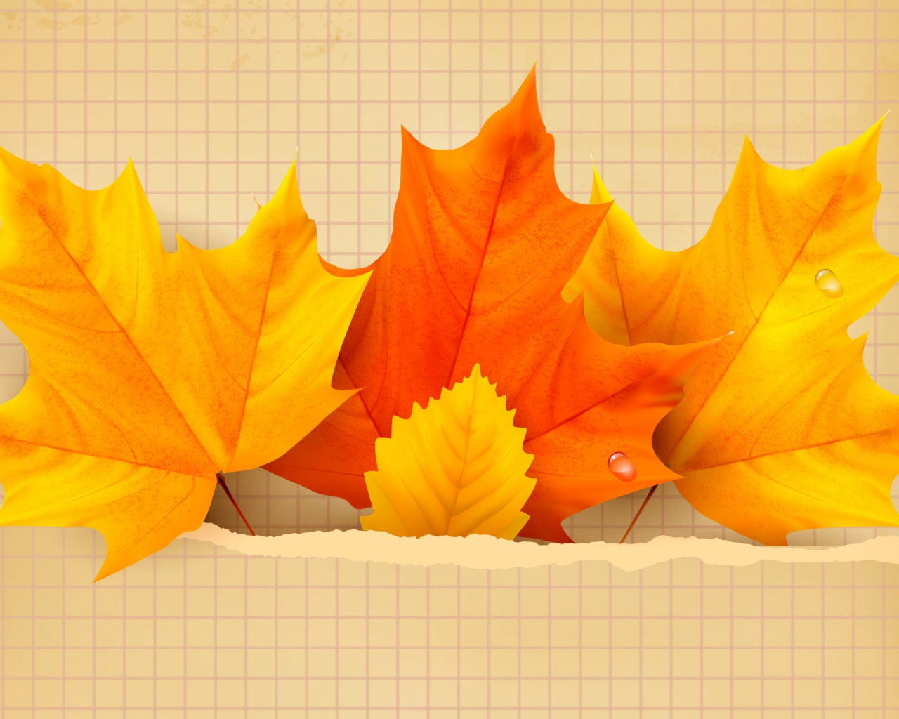 autumn, leaves, maple, листья, осенние, фон