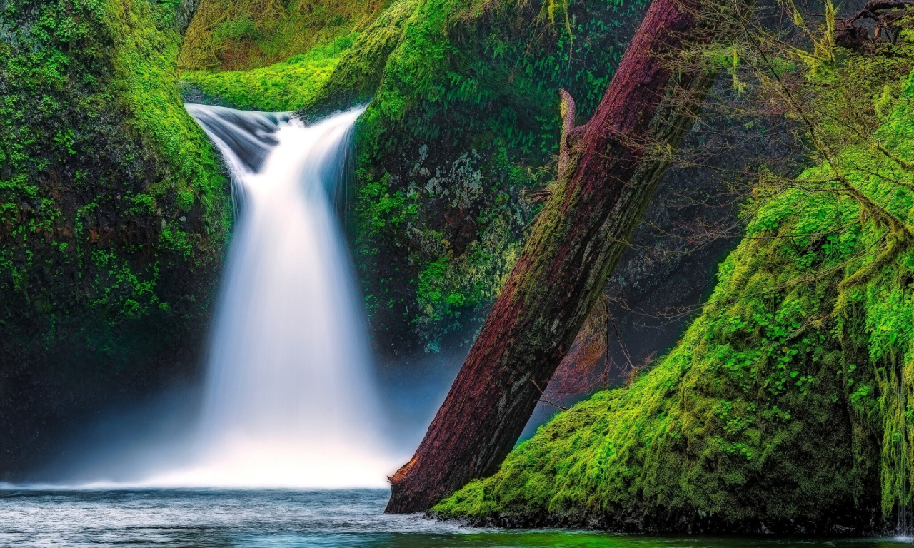 Punch Bowl Falls, Eagle Creek, Columbia River Gorge, Oregon, водопад Панчбоул, ущелье реки Колумбия, Орегон, водопад, река, мох, бревно