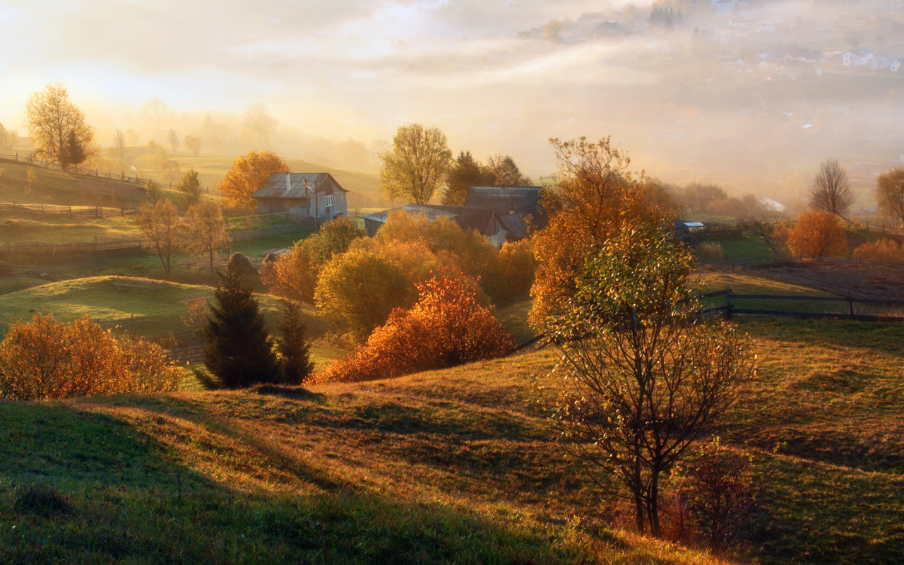 осень, село, околица, дымка, утро