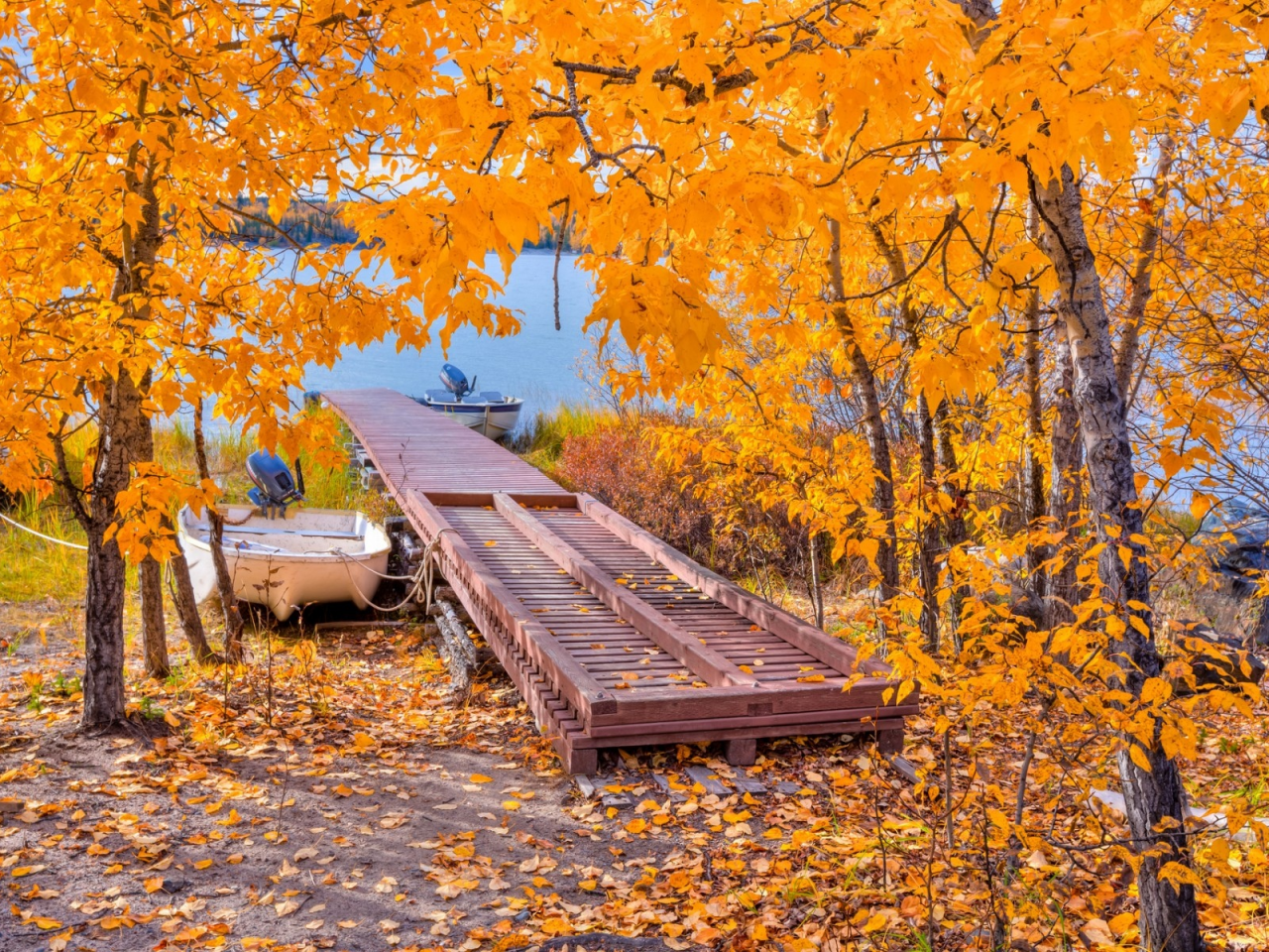 осень, деревья, мостик, озеро, лодка, листья