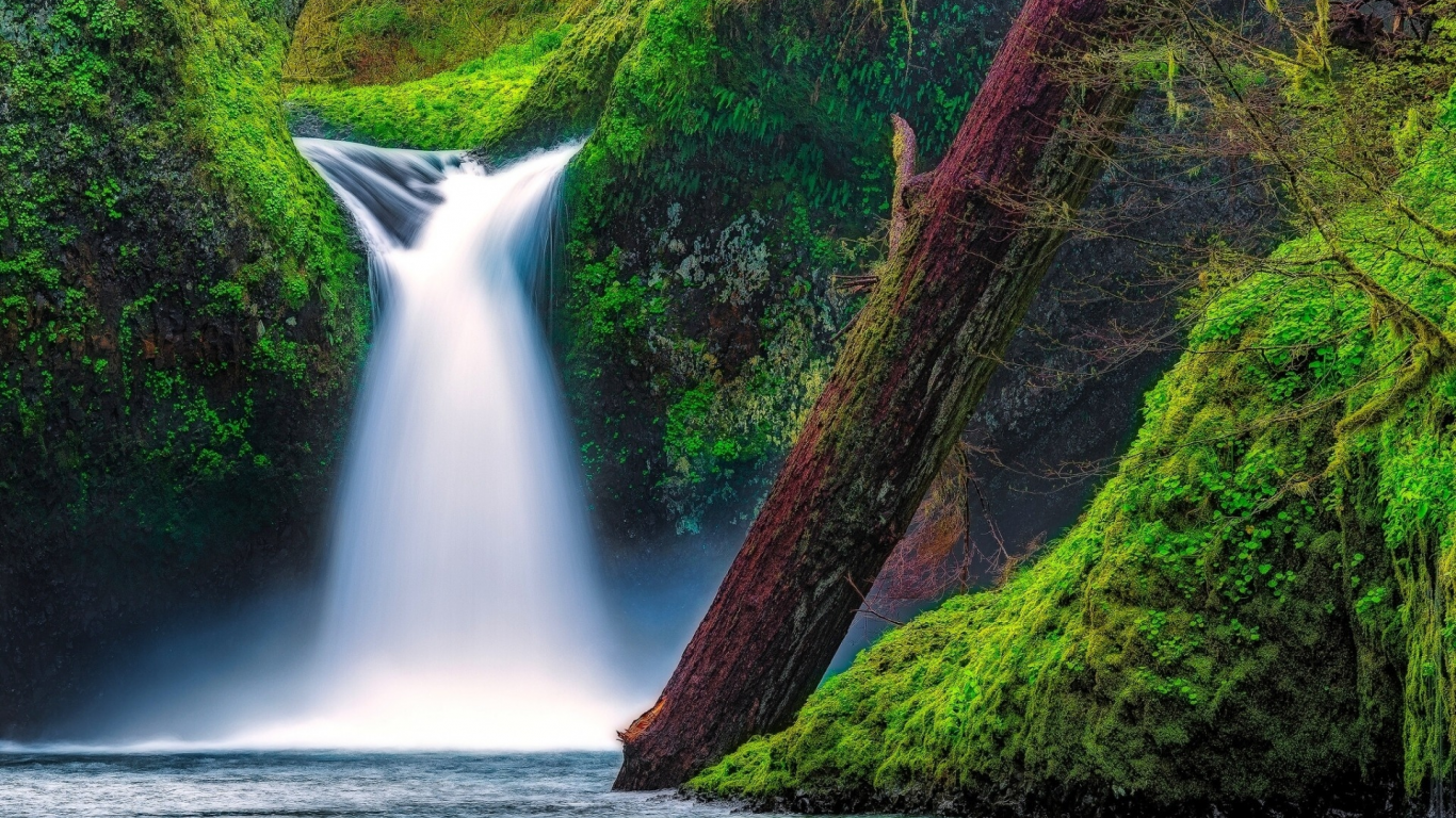 Punch Bowl Falls, Eagle Creek, Columbia River Gorge, Oregon, водопад Панчбоул, ущелье реки Колумбия, Орегон, водопад, река, мох, бревно