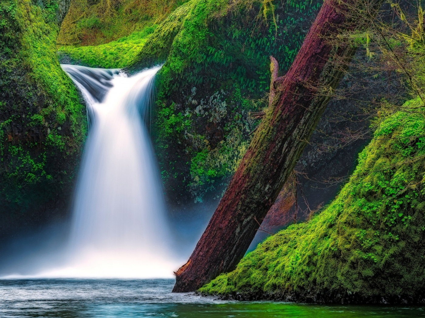 Punch Bowl Falls, Eagle Creek, Columbia River Gorge, Oregon, водопад Панчбоул, ущелье реки Колумбия, Орегон, водопад, река, мох, бревно