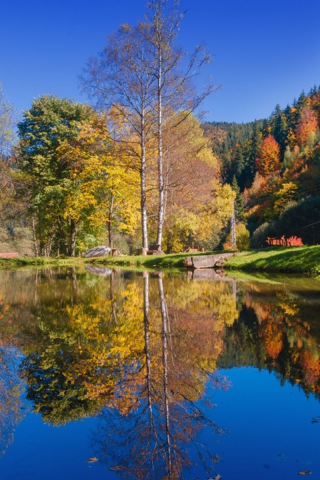 Родопи, Болгария, горы, деревья, лес, небо, озеро, природа, пейзаж, осень