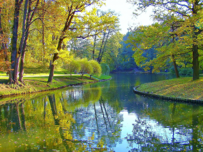 парк, деревья, пруд, осень