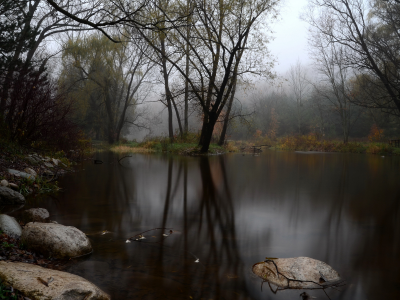 туман, лес, озеро, камни, осень