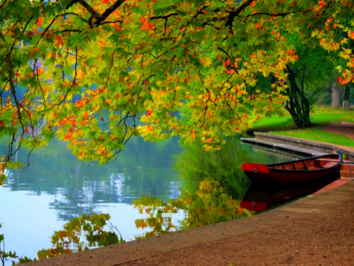 деревья, озеро, лодка, осень