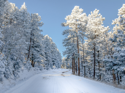 дорога, природа, снег, деревья, colorado, зима, свет