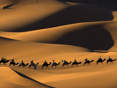 природа, верблюды, караван, сахара, пустыня, пески
