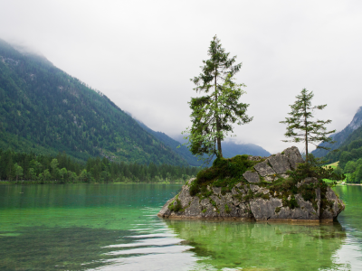 горы, бавария , остров, берхтесгаден, озеро, лес