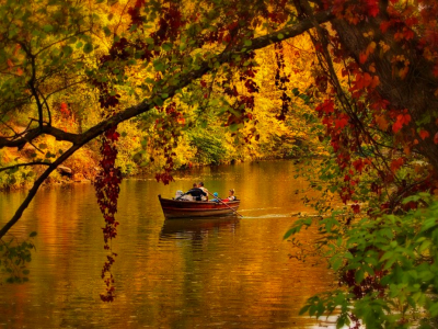 осень, река, лодка