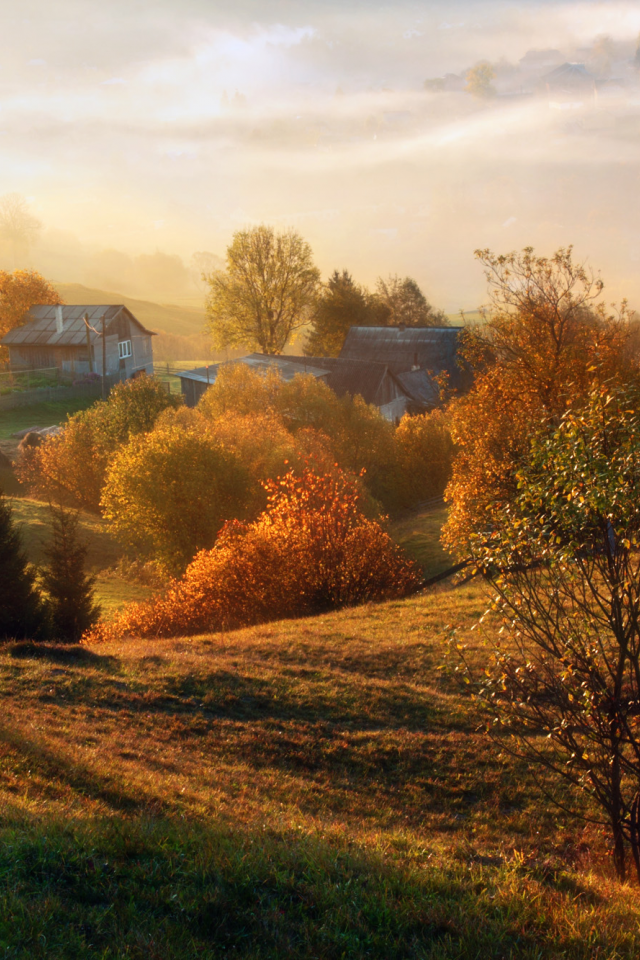 осень, село, околица, дымка, утро