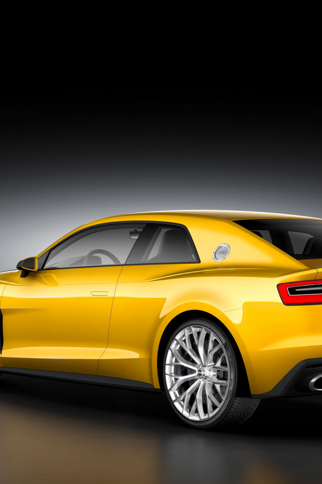 Audi, Sport, Quattro, Concept, Rear, Left, Wiew, 2013