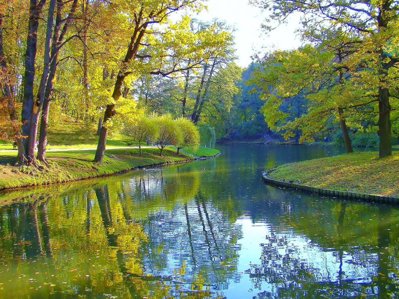 парк, деревья, пруд, осень