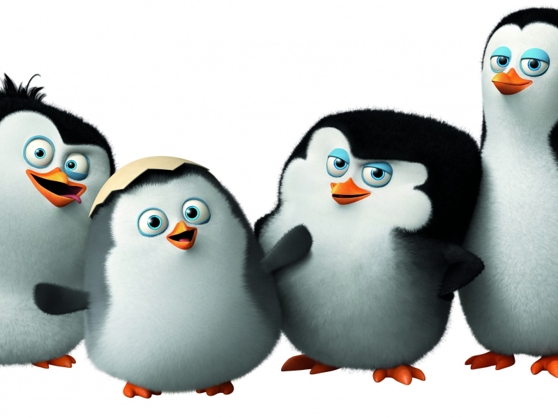 Penguins of Madagascar, Classified, пингвины Мадагаскара, мультфильм