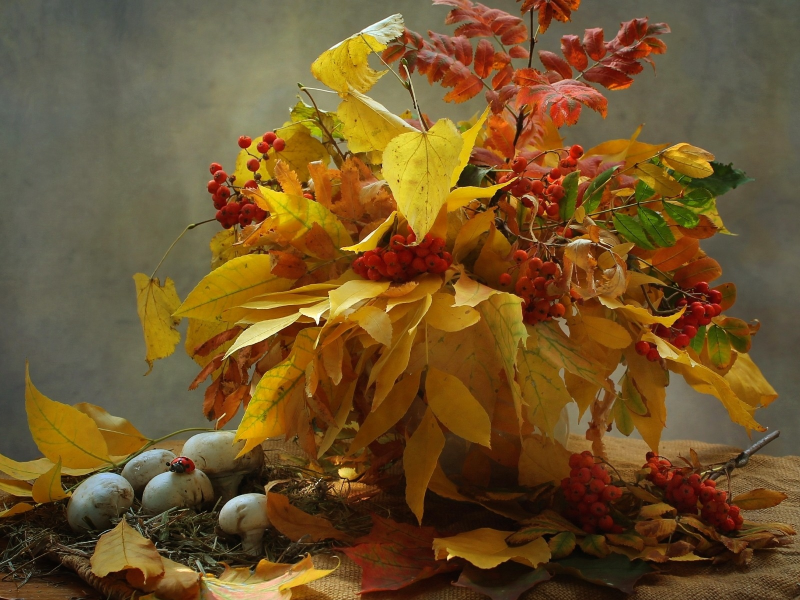 осень, букет, листья, шампиньоны, рябина, грибы, натюрморт