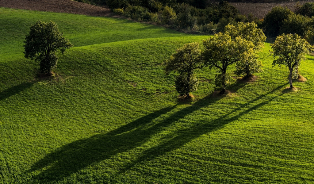 Pievebovigliana, Monti Sibillini National Park, Marche, Italy, Пьевебовильяна, Национальный парк Монти-Сибиллини, Марке, Италия, поля, деревья