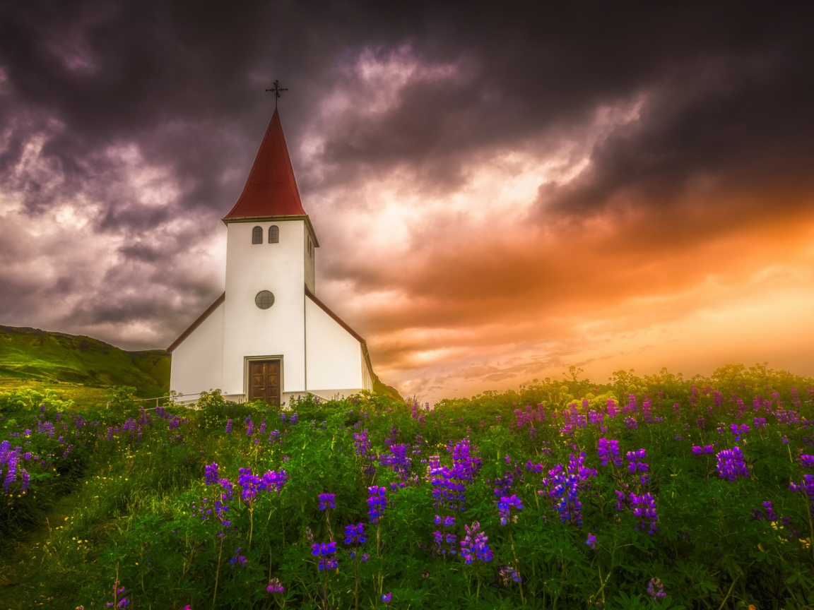 Vik i Myrdal, Iceland, Вик, Исландия, церковь, закат, луг, цветы, люпины