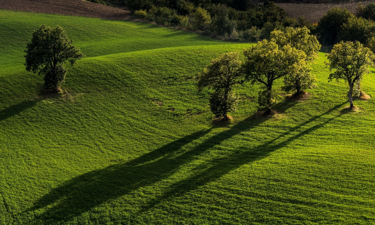 Pievebovigliana, Monti Sibillini National Park, Marche, Italy, Пьевебовильяна, Национальный парк Монти-Сибиллини, Марке, Италия, поля, деревья