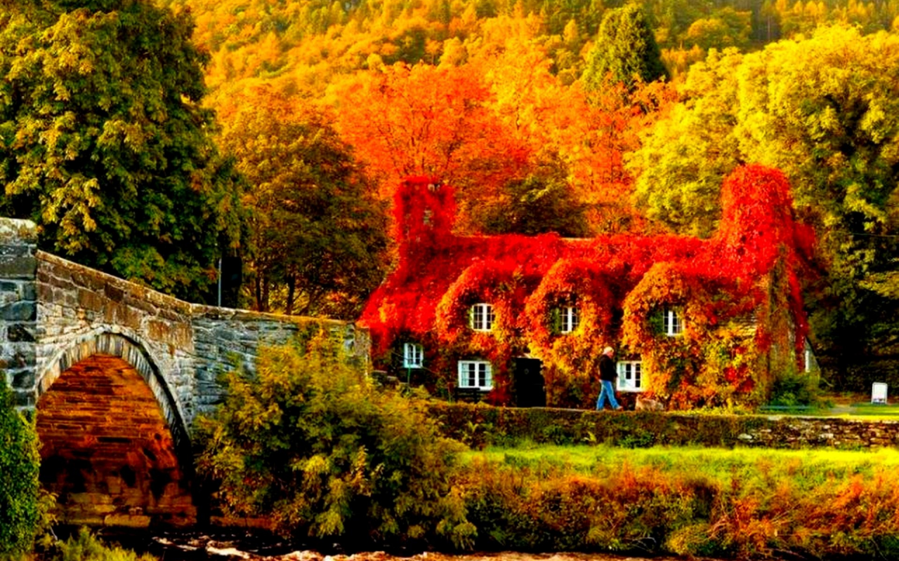 осень, деревья, река, домик