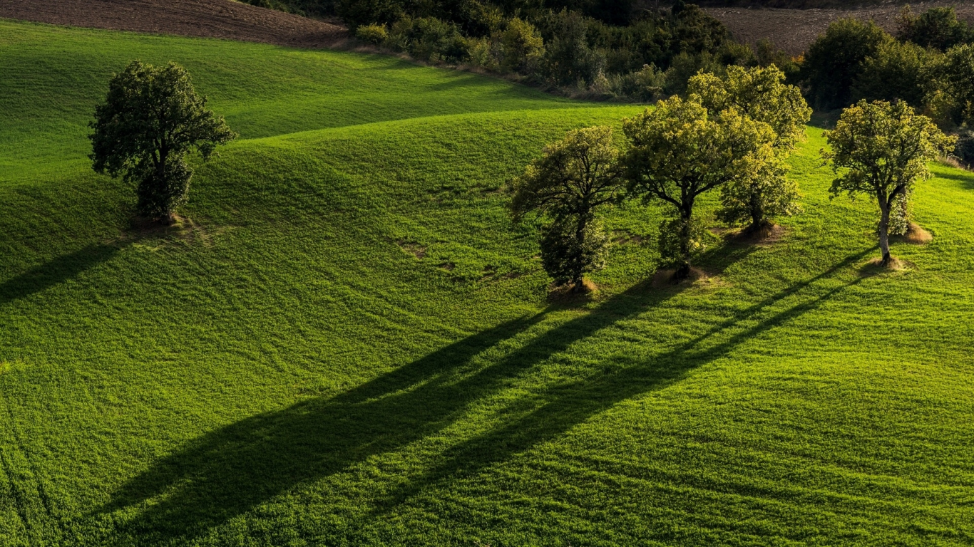 Pievebovigliana, Monti Sibillini National Park, Marche, Italy, Пьевебовильяна, Национальный парк Монти-Сибиллини, Марке, Италия, поля, деревья