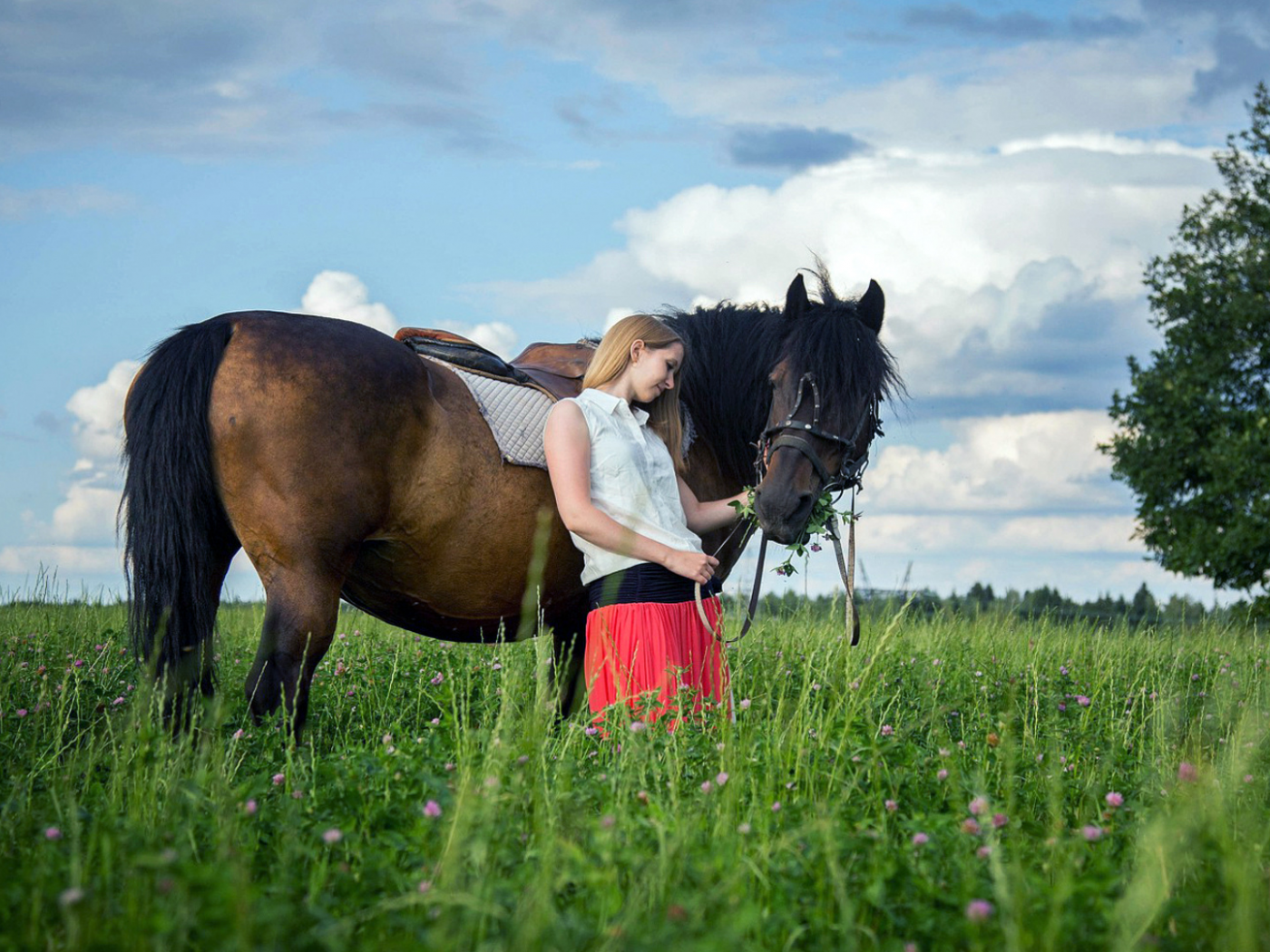 девушка, конь, трава