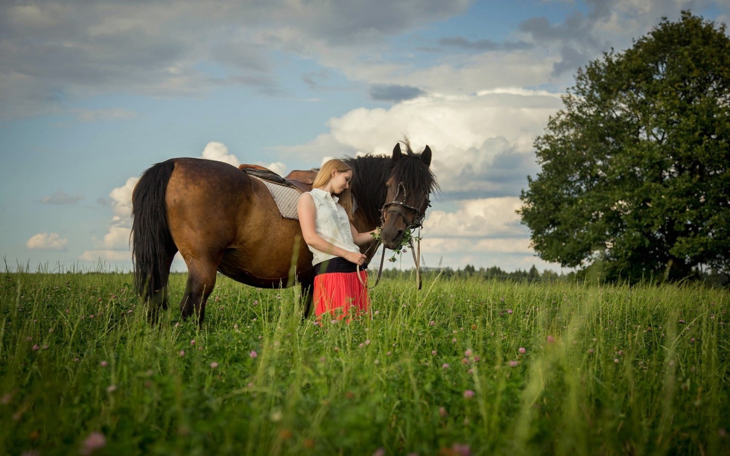 лето, луг, поляна, за околицей, лошадь, конь, девушка