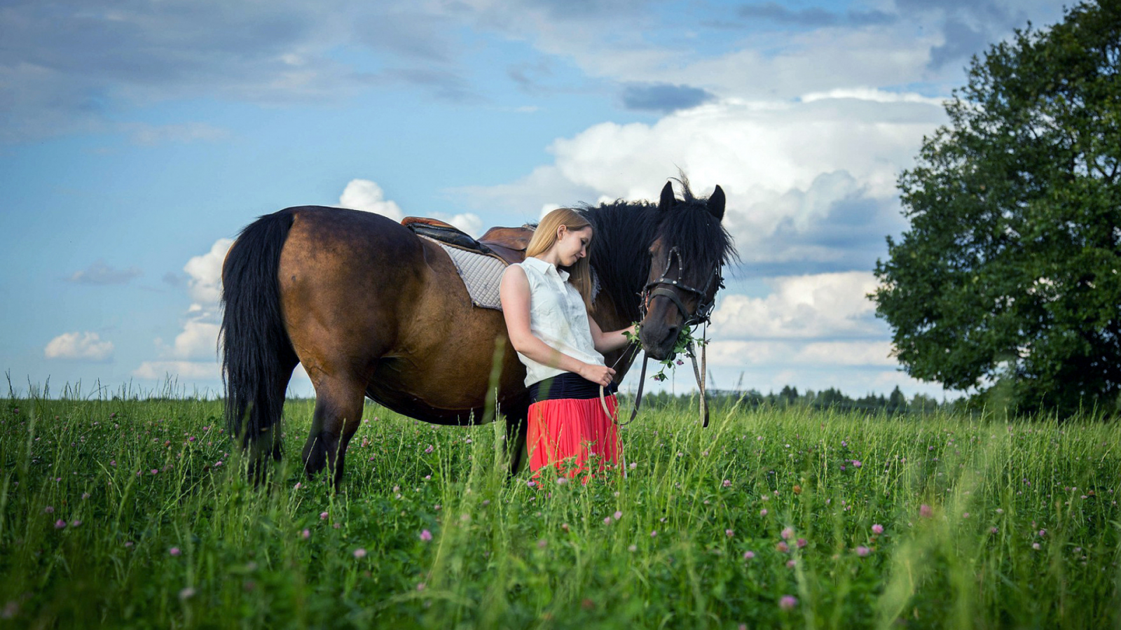 девушка, конь, трава
