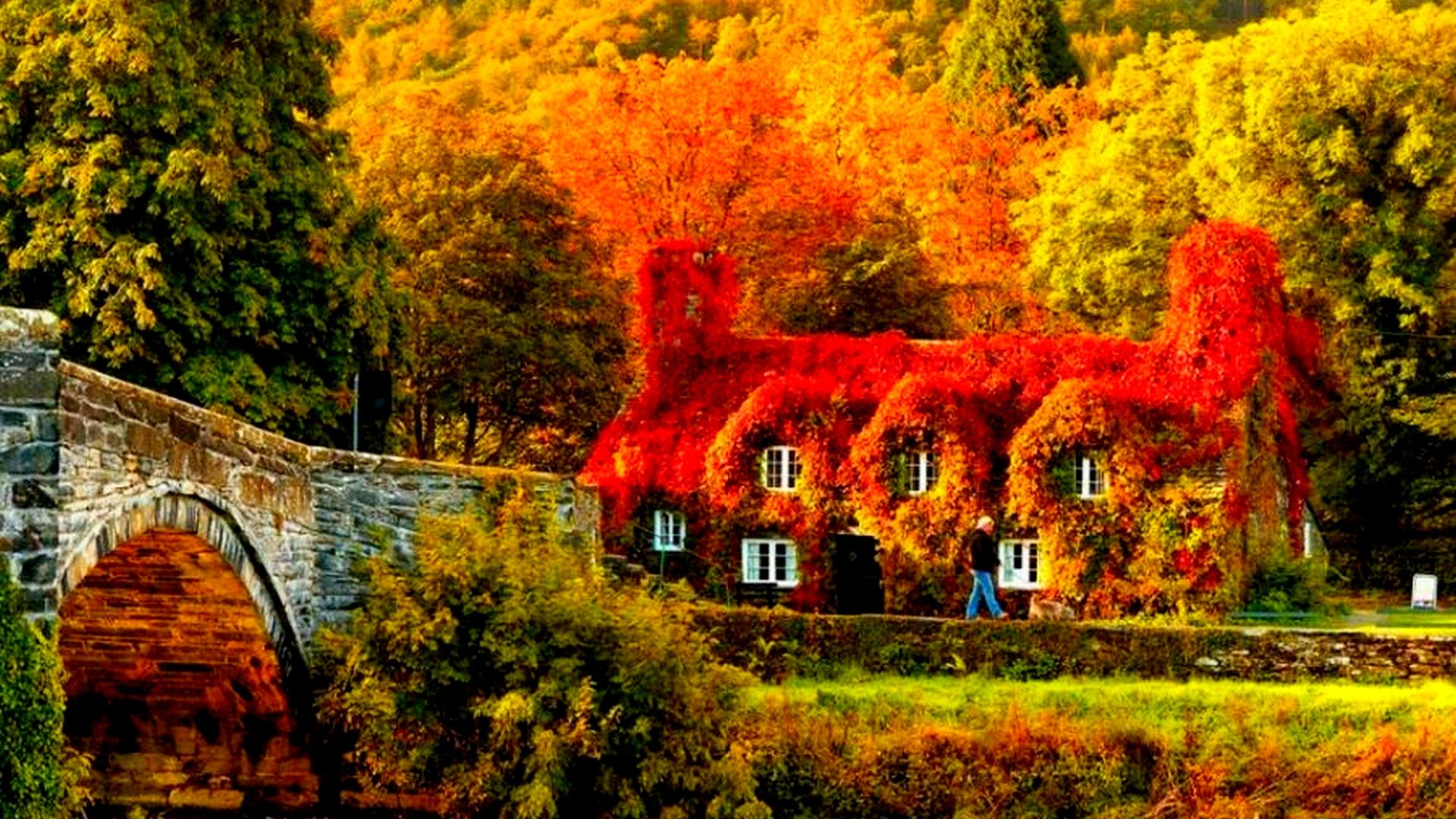 осень, деревья, река, домик